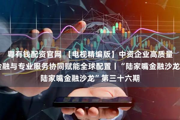 粤有钱配资官网 【电视精编版】中资企业高质量海外并购：金融与专业服务协同赋能全球配置丨“陆家嘴金融沙龙”第三十六期