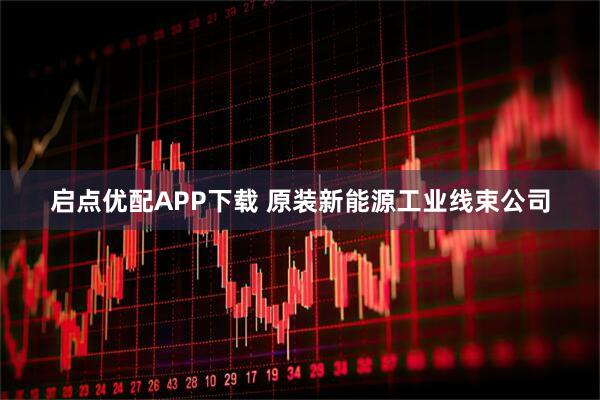 启点优配APP下载 原装新能源工业线束公司