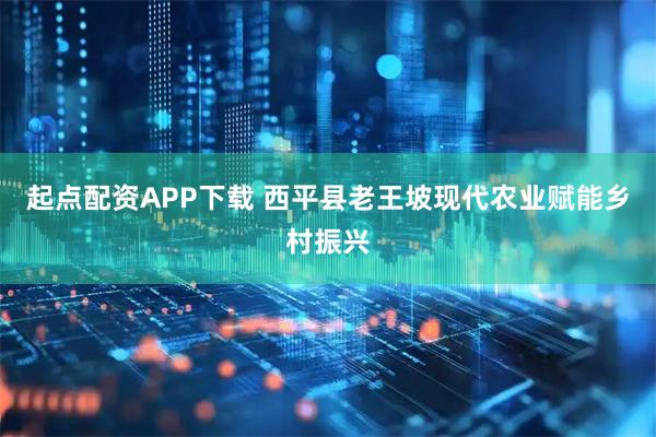 起点配资APP下载 西平县老王坡现代农业赋能乡村振兴