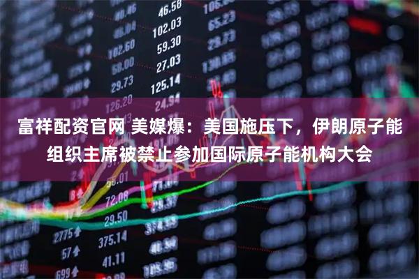富祥配资官网 美媒爆：美国施压下，伊朗原子能组织主席被禁止参加国际原子能机构大会